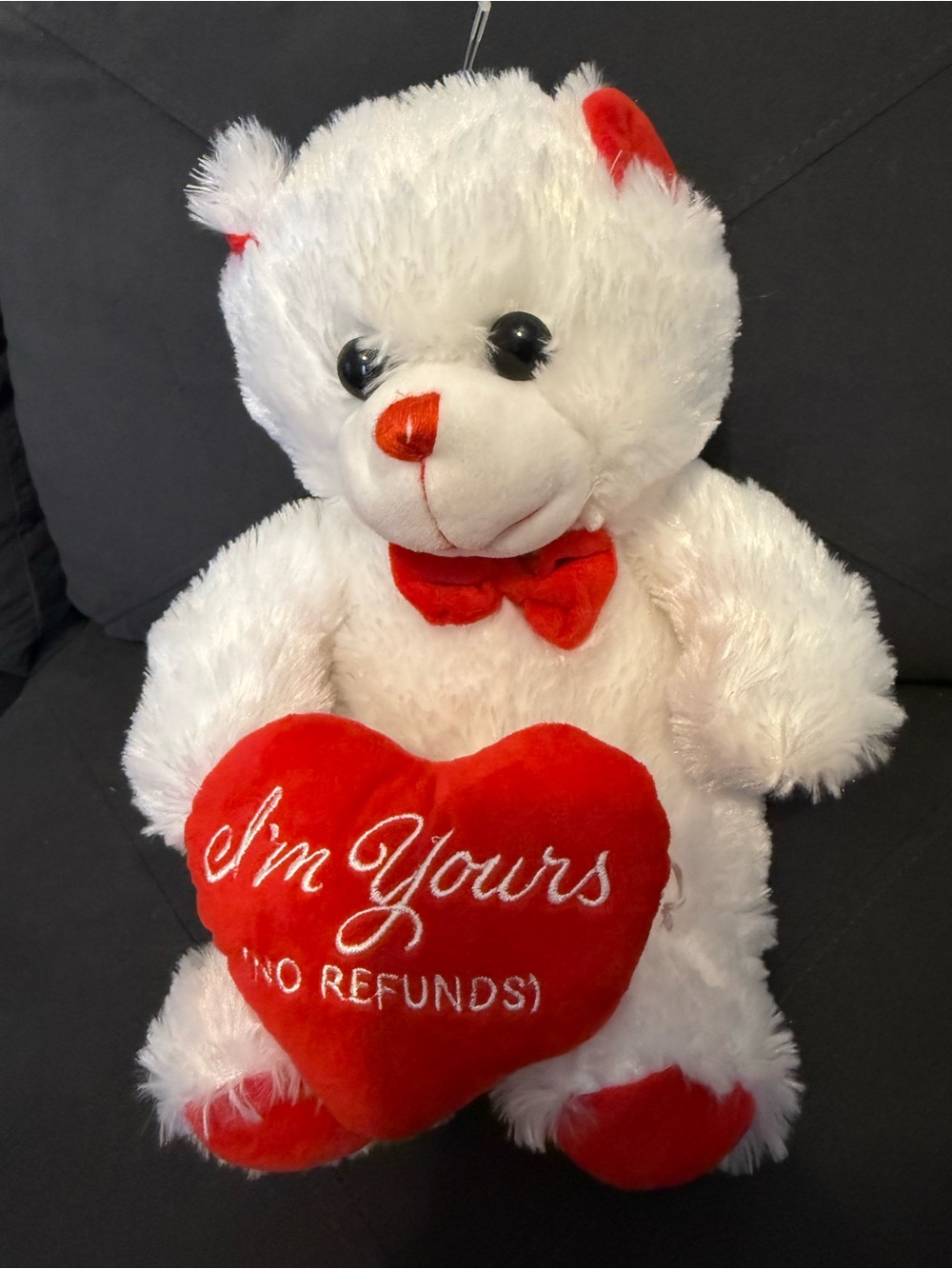 White and Red Plush Teddy Bear with Heart Accent